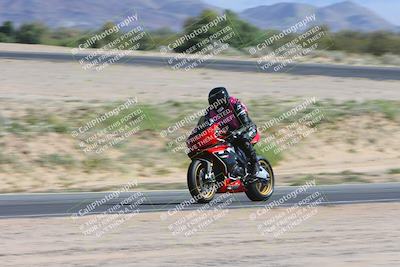 media/Apr-13-2024-SoCal Trackdays (Sat) [[f1617382bd]]/1-Back Straight Speed Pans (930am)/